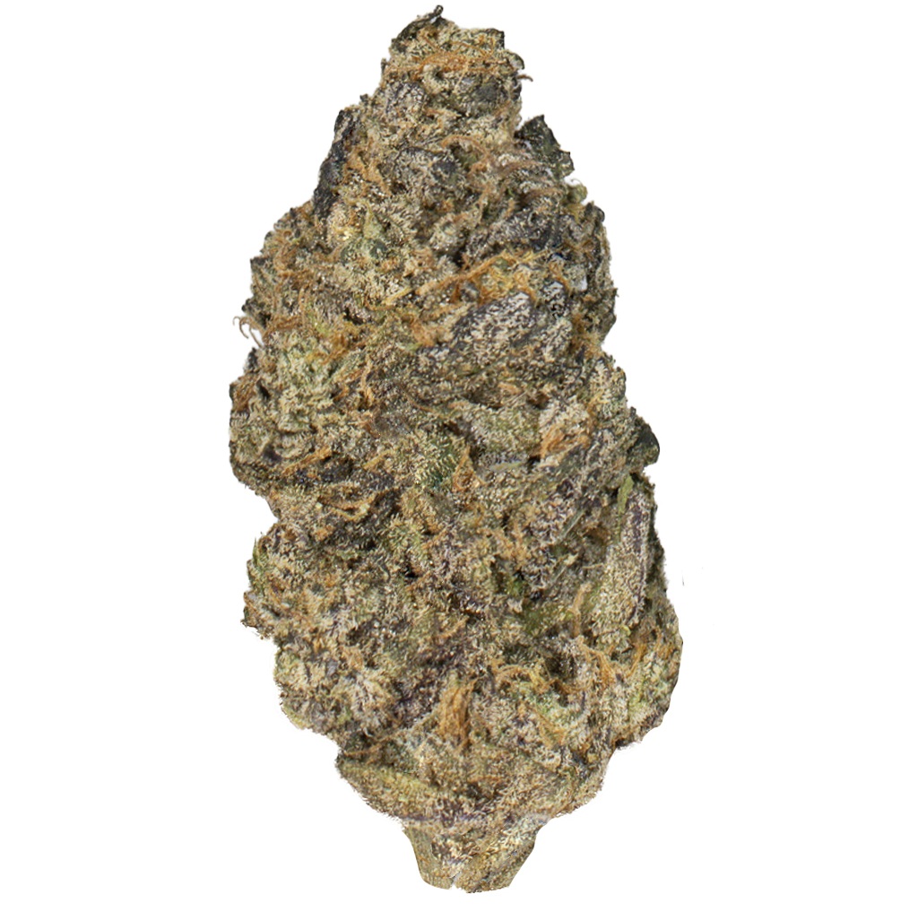 LEMON CHERRY DOSI indoor Sept'25