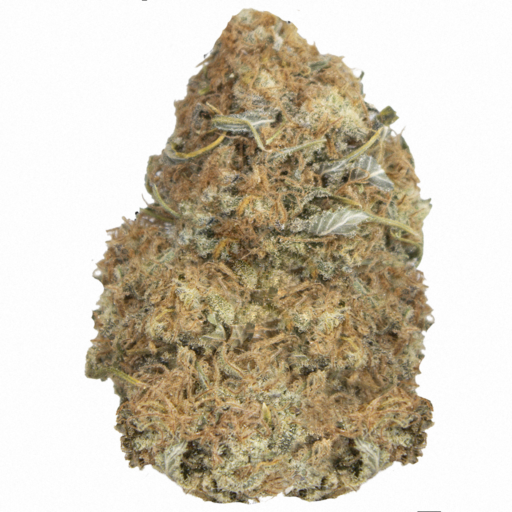 GORILLA GLUE #4 indoor Oct'25