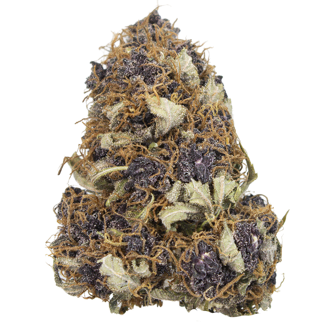 PURPLE PUNCH indoor Ene'26