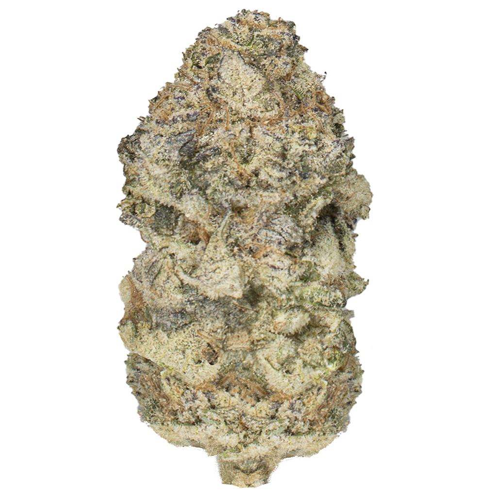 PINEAPPLE FRUZ indoor Feb'26