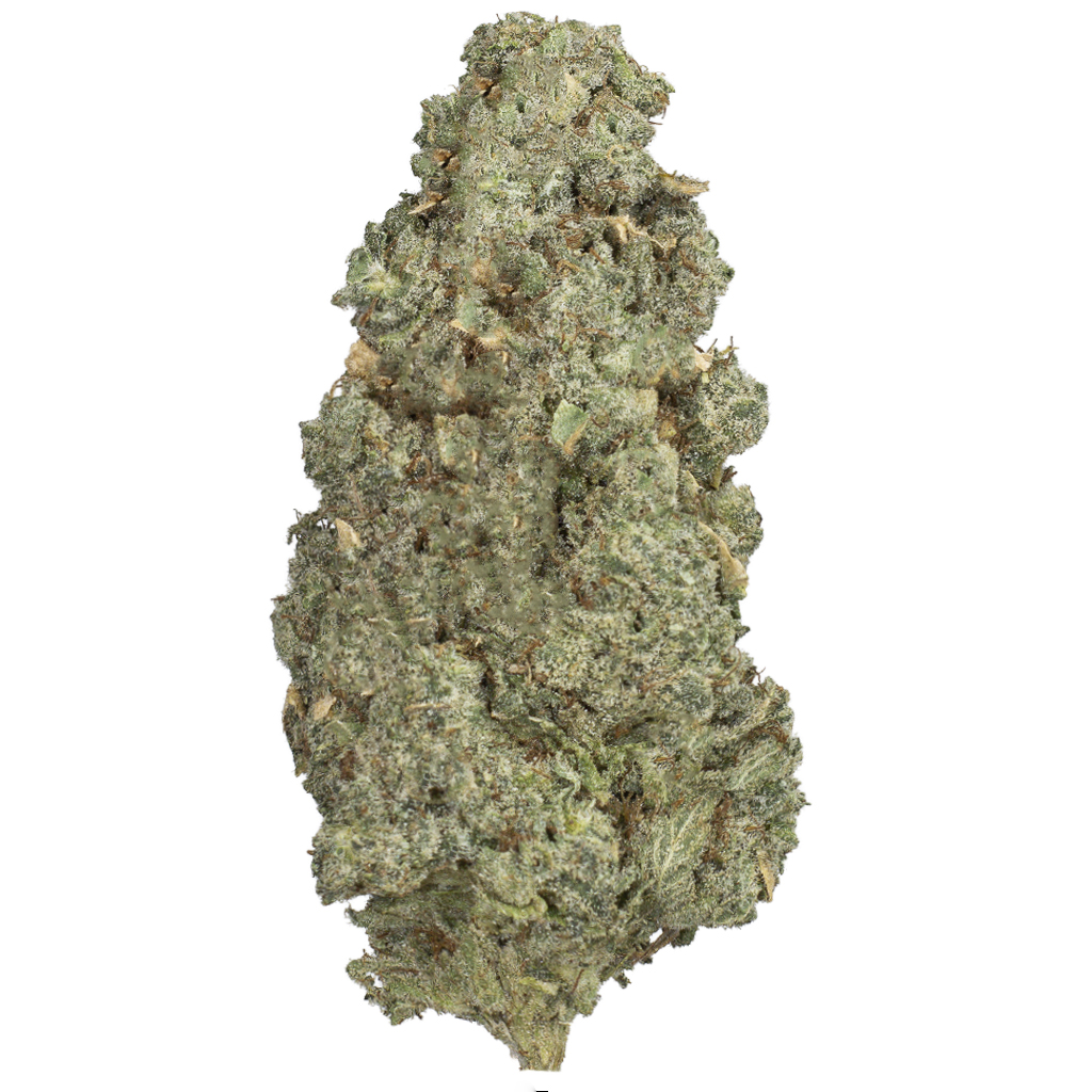 PINEAPPLE HAZE indoor Mar'26