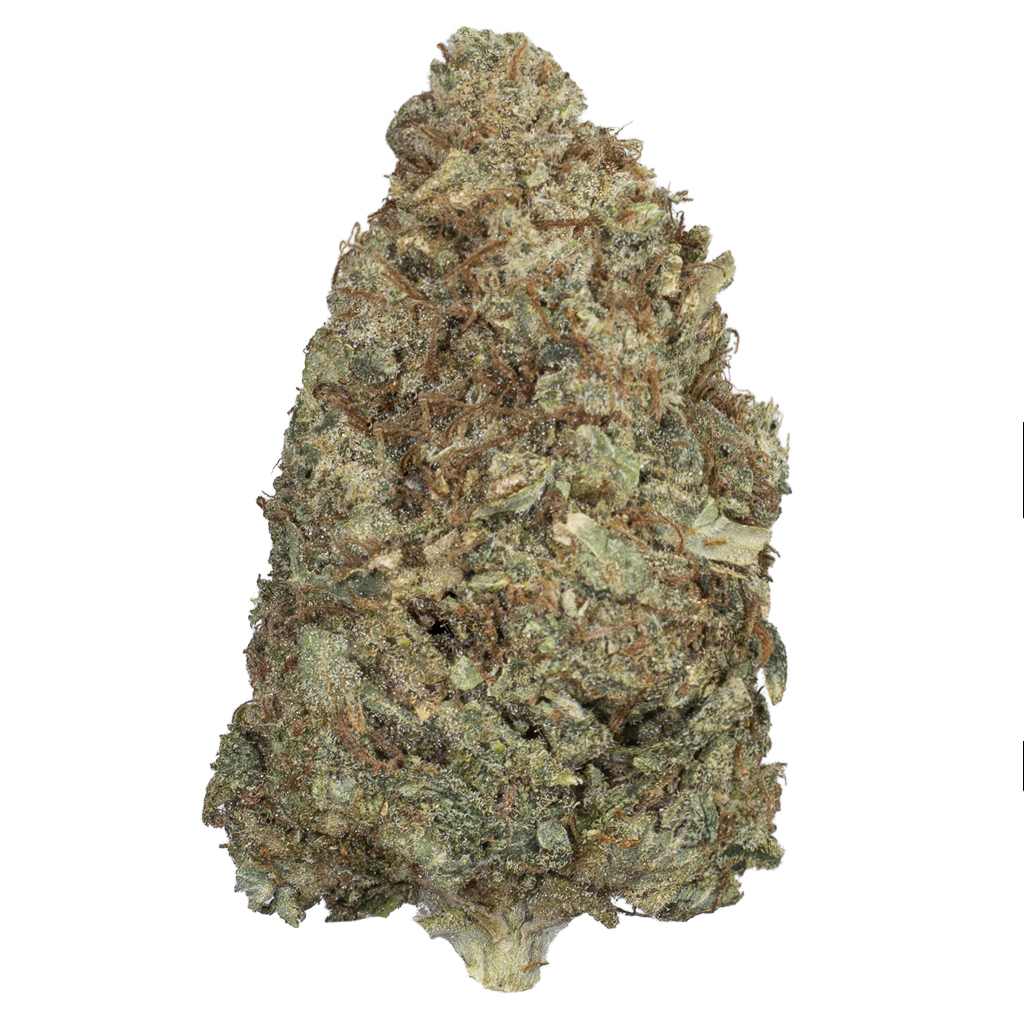 CHOCOLATE KUSH indoor Mar'26