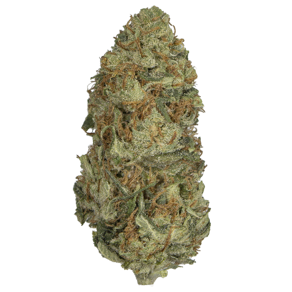 RAINBOW ROAD indoor Abr'26