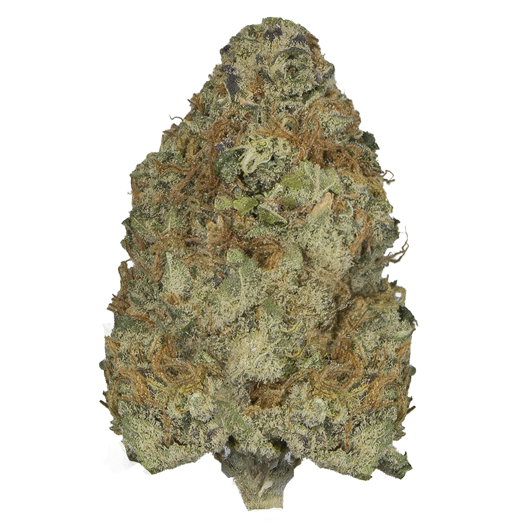 ATOMICAL HAZE indoor May'26
