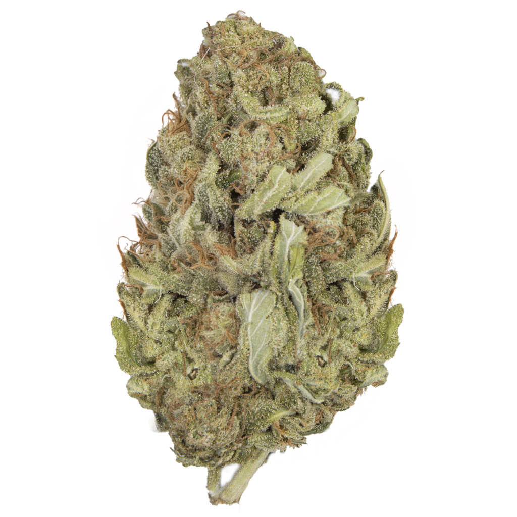 GREEN CRACK 2.0 indoor May'26