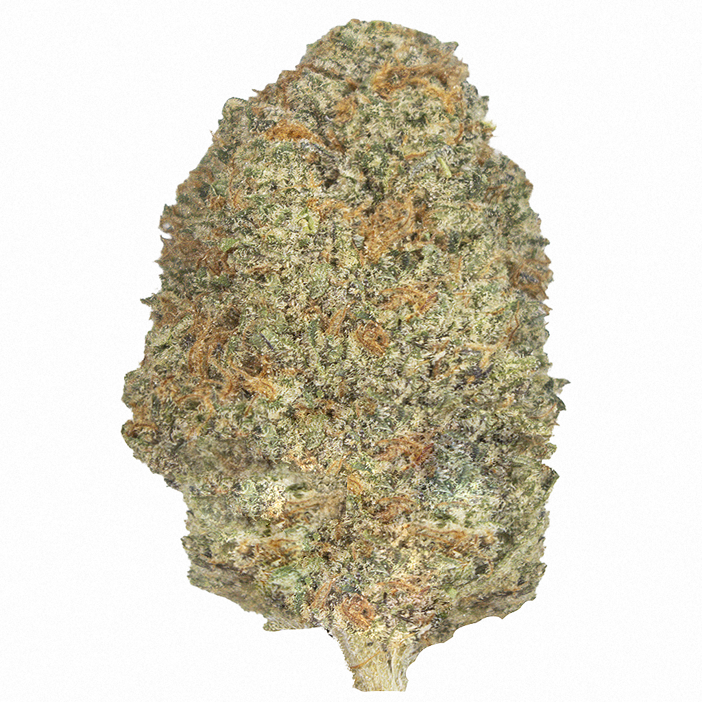 L.A. CONFIDENTIAL indoor Jun'26