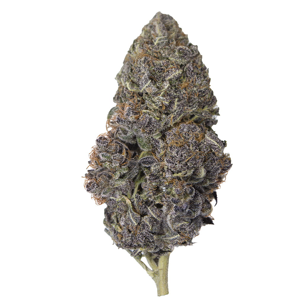CAKED UP CANDY indoor Jun'26