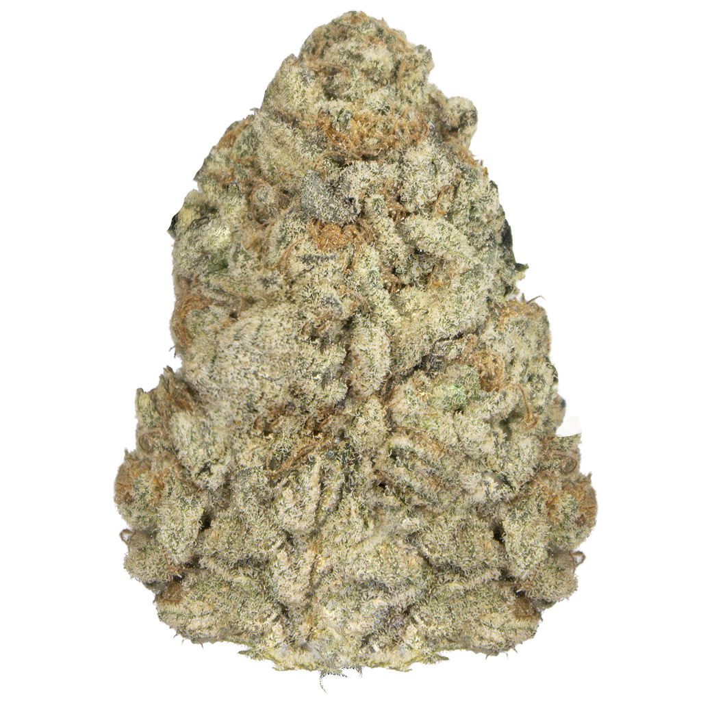 PINEAPPLE FRUZ indoor Jun'26