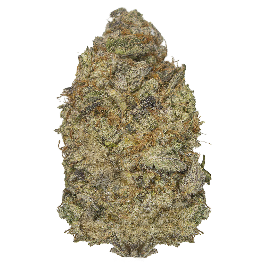 FLORIDA GASPACK indoor Jul'26