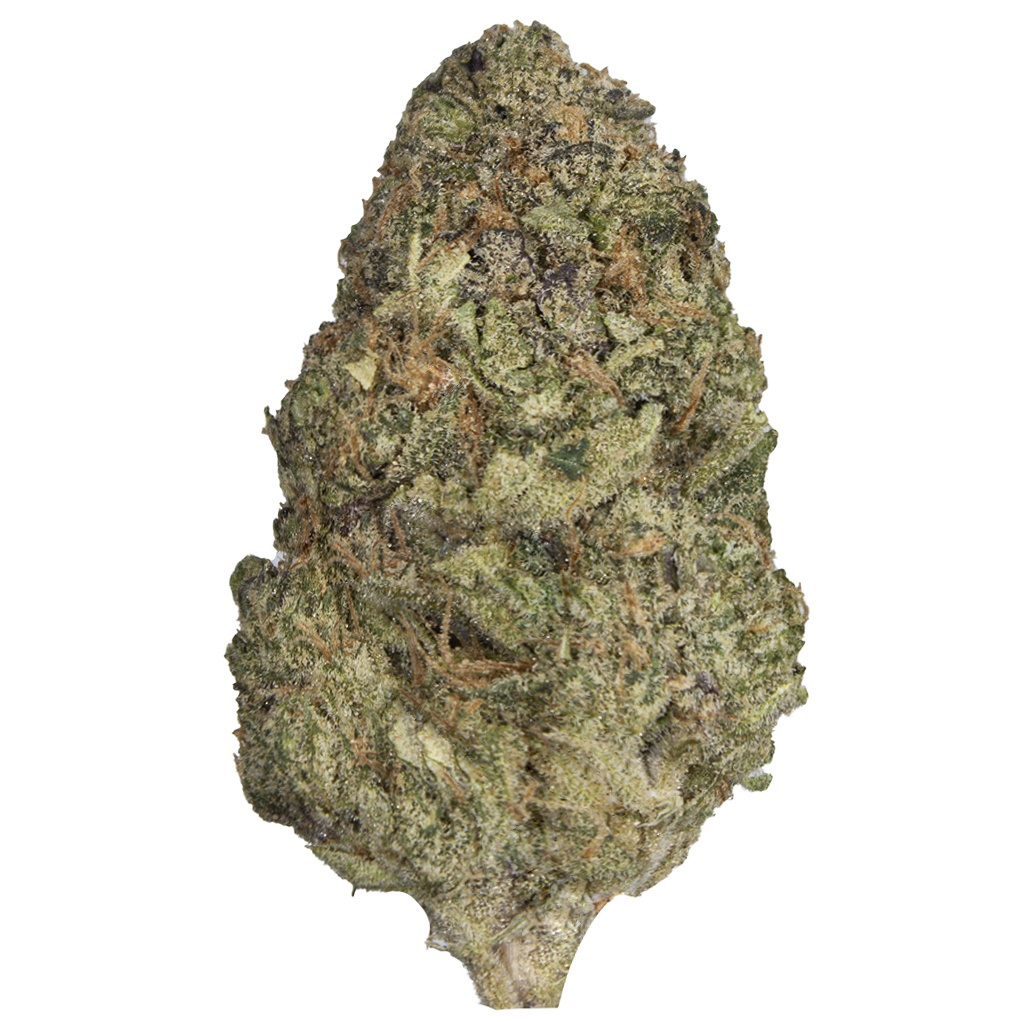 FRUIT BOMB PUNCH indoor Sept'26
