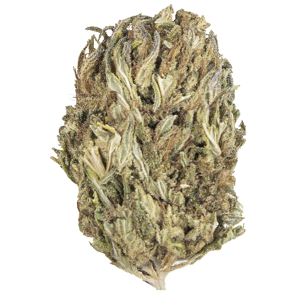 ROYAL OG CBD outdoor May'25