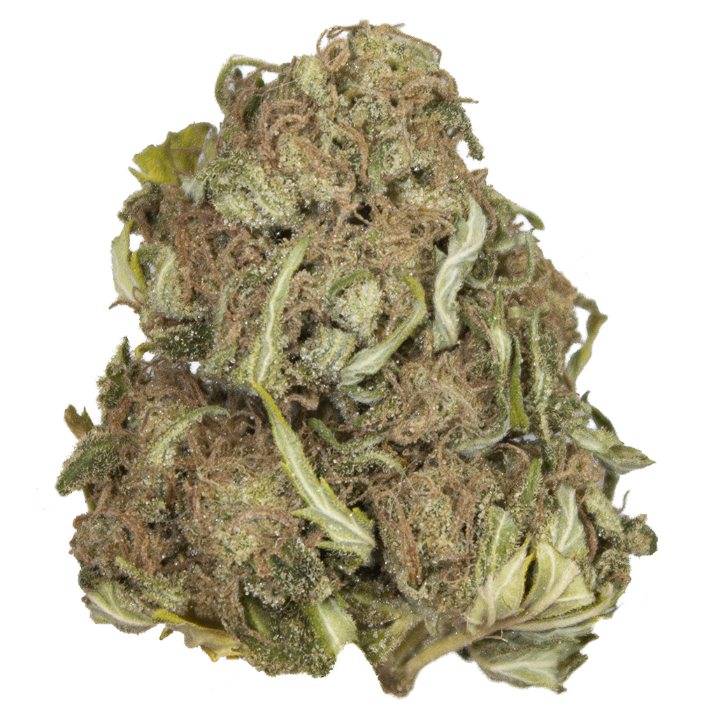CRITICAL+2.0 outdoor Abr'25