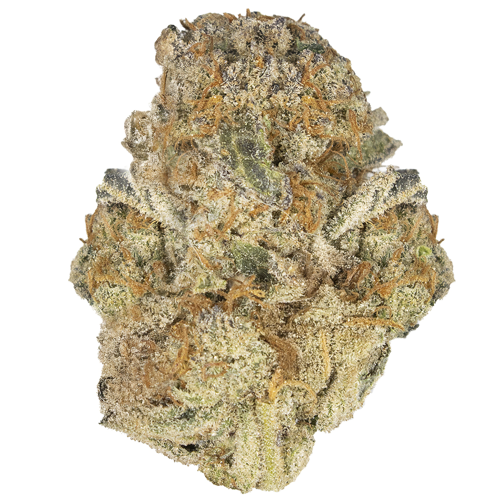GREEN CRACK indoor Jul'25