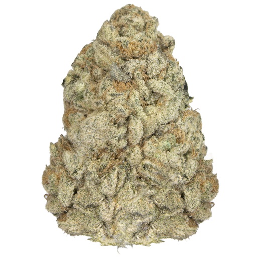 [CAKEC/P2512] CAKE CRASHER indoor Dic'25