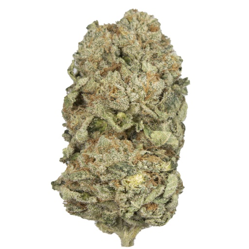 [ZK3/SE2510] ZKITTLEZ 3.0 indoor Nov'25