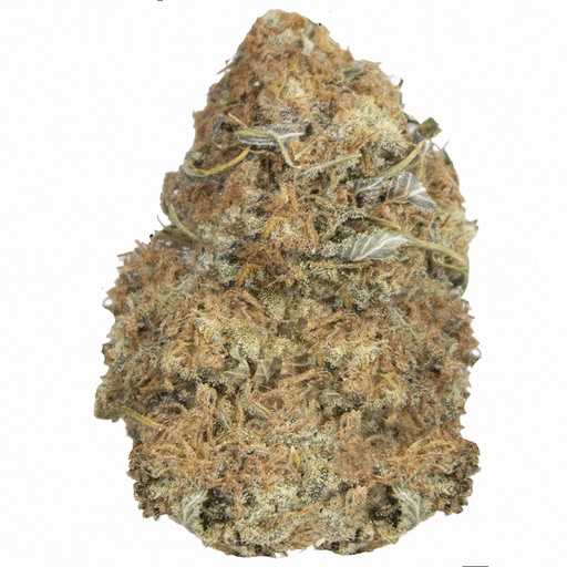 [GG4/A2511] GORILLA GLUE #4 indoor Nov'25