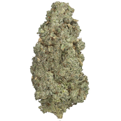 [RM/PINH/MC2603] PINEAPPLE HAZE indoor Mar'26