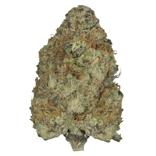 [RM/ATH/A2604] ATOMICAL HAZE indoor Abr'26