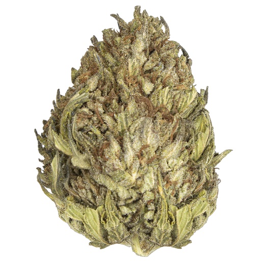 [BUBBAKCBD/MA2505] BUBBA KUSH CBD outdoor May'25