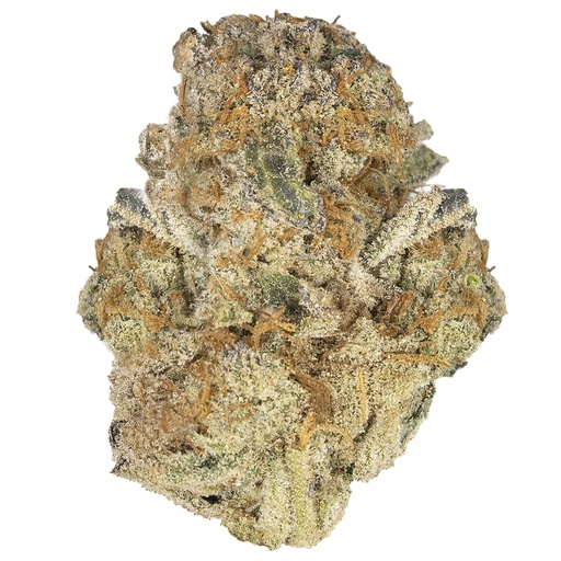 [GCRACK/M2507] GREEN CRACK indoor Jul'25